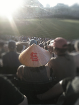 Crouching Tiger, Hidden Cardinal