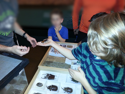 It's crunchy in a salad!