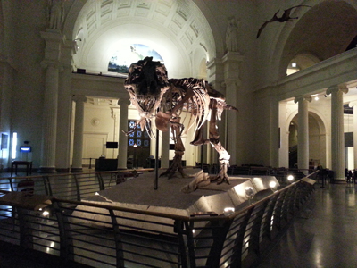 Welcome. Why don't you stay for dinner ... Bwahahahaha!