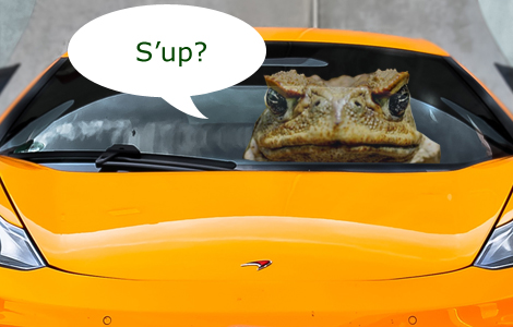 Toad Car!