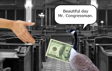 watch were you step on that carpet later...