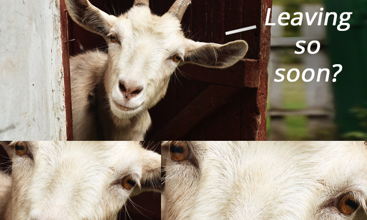 Eighth Grade Graduate